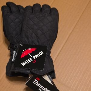 Thinsulate Black Waterproof Men's Gloves